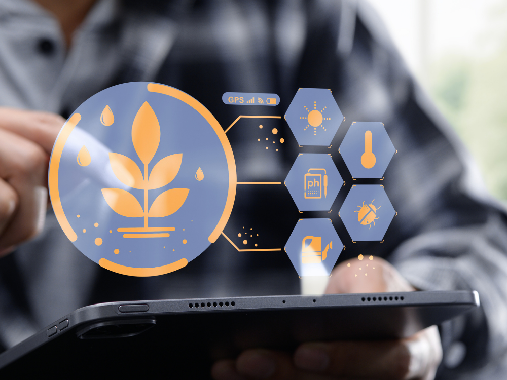 Innovación y Digitalización